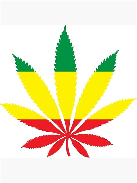 Image result for Kenyed Fun Java