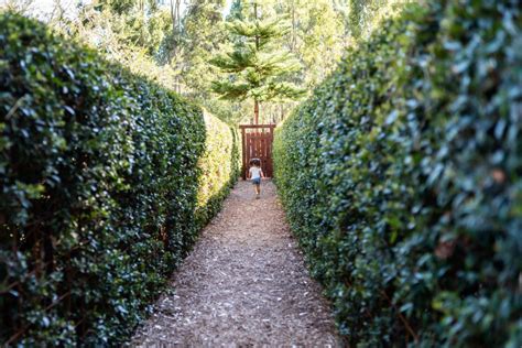 Image result for Perth Outback Spalsh