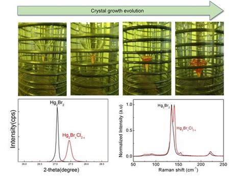 Comparative Analysis of Hg2Br2 and Hg2BrxCl2-x Crystals Grown via PVT