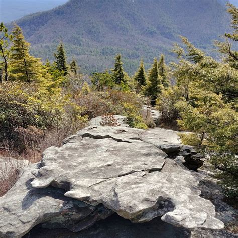 HAWKSBILL MOUNTAIN TRAIL (2026) All You Need to Know BEFORE You Go ...