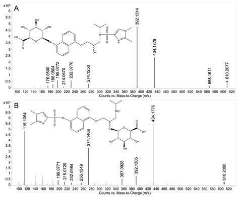 Glucuronidation Pathways of 5- and 7-Hydroxypropranolol: Determination ...