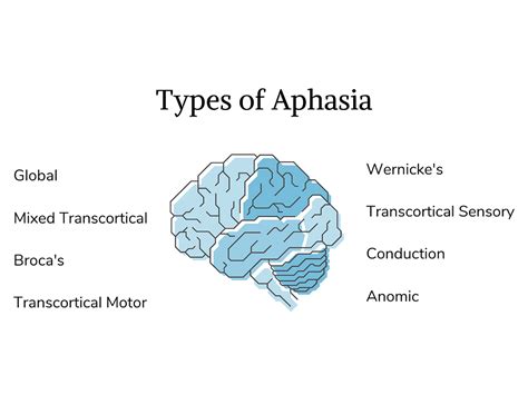 Image result for Aphasia Type Tree