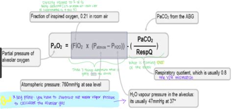 Image result for PaO2 High