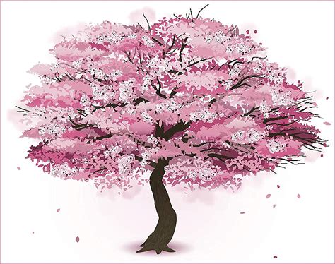 Cherry Blossom Tree Drawing