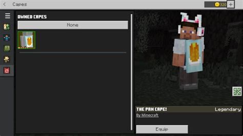 How to Equip a Cape in Minecraft Java 的图像结果