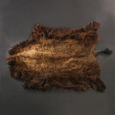 What Is Animal Hides at Sebastian Belbin blog