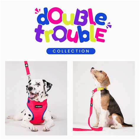 Online Pet Store India | Pet Shop Online | Online Pet Shop – DearPet