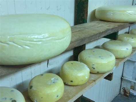 WILMA'S CHEESE FACTORY (2025) All You Need to Know BEFORE You Go (with ...