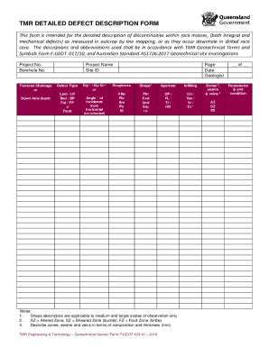 Fillable Online Detailed defect description form - Department of ...