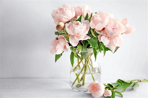 Hicks Funeral Home | Hope, AR Funeral Home & Cremation