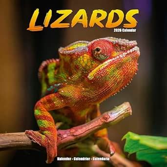 Lizards Calendar 2026 Square Animal Wall Calendar - 16 Month : Amazon ...