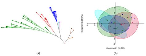 Molecular Typing Reveals Environmental Dispersion of Antibiotic ...