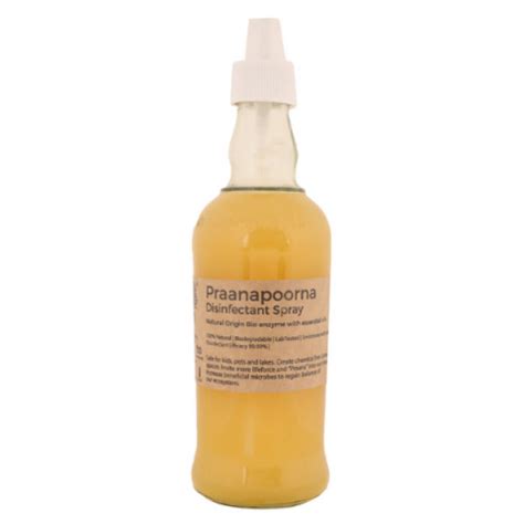 PraanaPoorna Disinfectant Spray 350ml | Garuda Prakashan