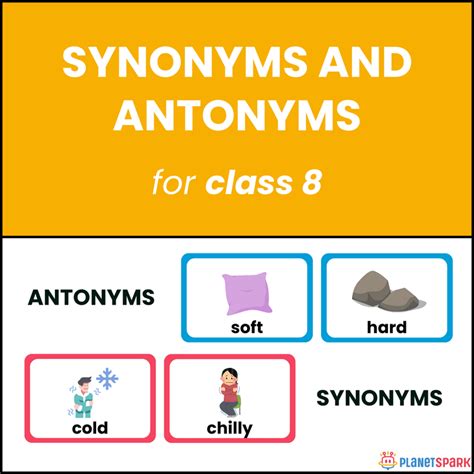 Class 8 Synonyms and Antonyms Practice | PlanetSpark