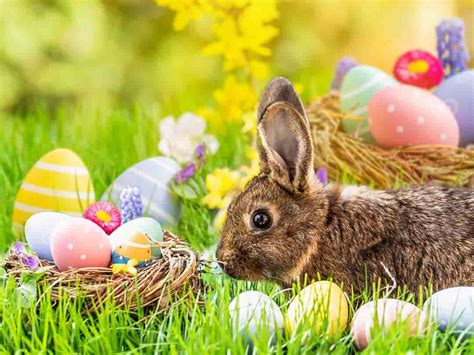 Grupa IV 4 KANGURKI | Przedszkole Publiczne Nr 1 w Łomży