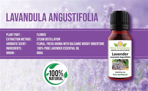 Pure and Natural Lavender Oil- Buy Nira Aromatics Lavender Essential ...