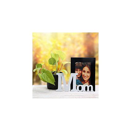 Online Precious Mom Frame And Plant Delivery | GoGift