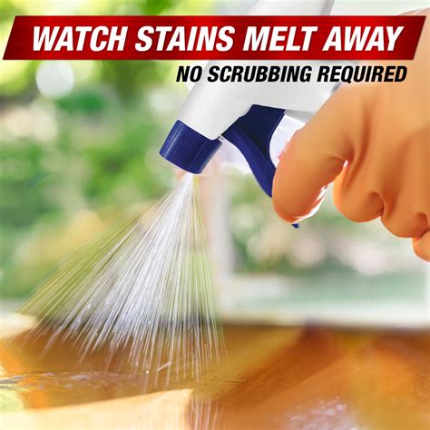 Professional Mold & Mildew Stain Remover Spray - 32oz