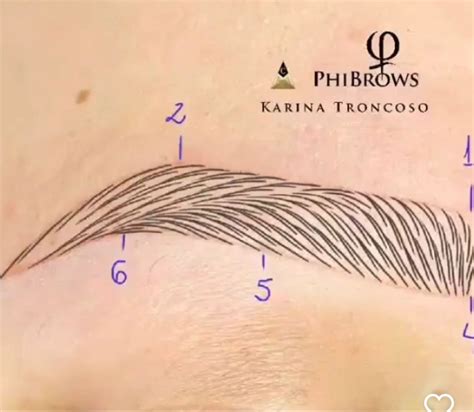 Image result for Microblading Eyebrow Tutorial
