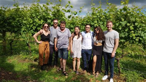 Martinborough Wine Tours - Half-day Tour | Activities & Day Trips in ...