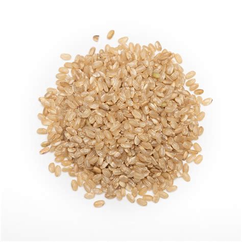Organic Short Grain Brown Rice - Forest Whole Foods