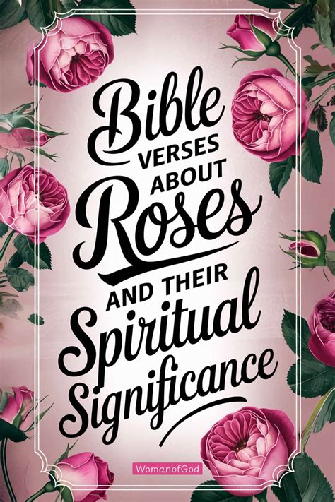 Image result for Beautiful Roses with Scripture