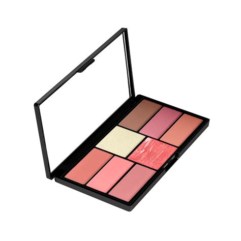 Swiss Beauty Pro Blusher & Highlighter Palette For Face Makeup | Shade ...