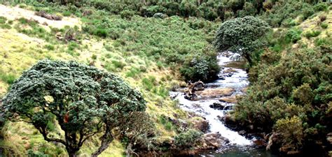 Lakkidi Wayanad Lakkidi Travel Tour Guide - Lakkidi Gateway to Wayanad