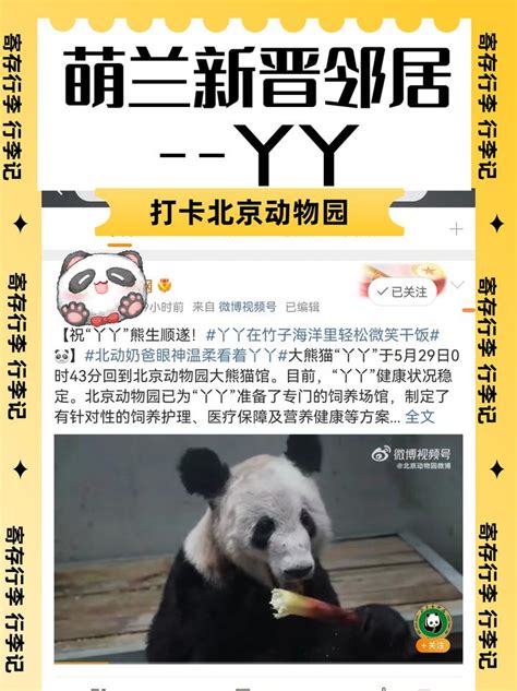 🐼丫丫终于回到北京动物园了😭到北京动物园行李寄存在哪呢？ - 知乎