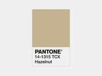 Image result for Colors for Bar Graphs Python