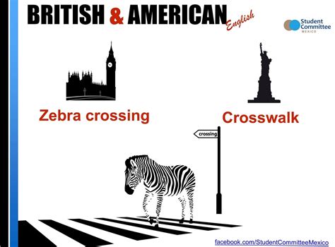 Spanish Into English Zebra | spanish to english translation