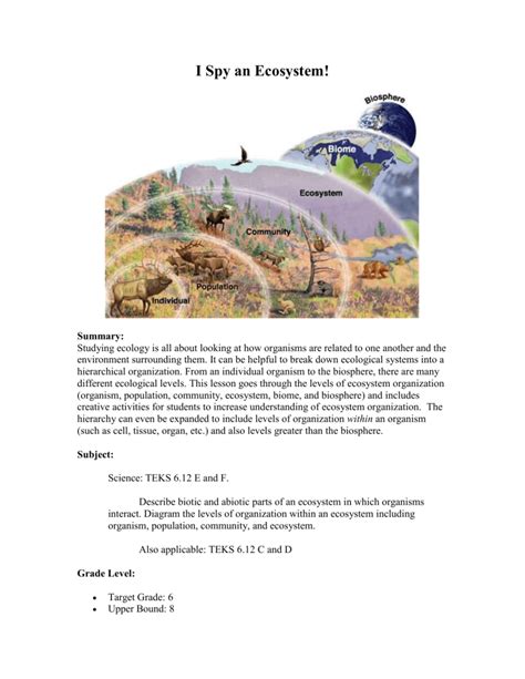 Ecosystem Lesson Plan 的图像结果