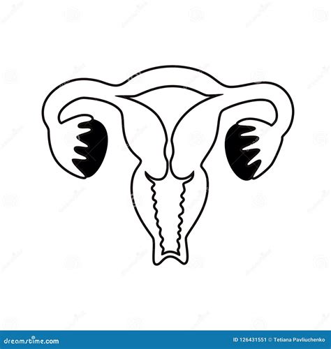 Vector Isolated Illustration of Uterus Stock Vector - Illustration of body, clinic: 126431551