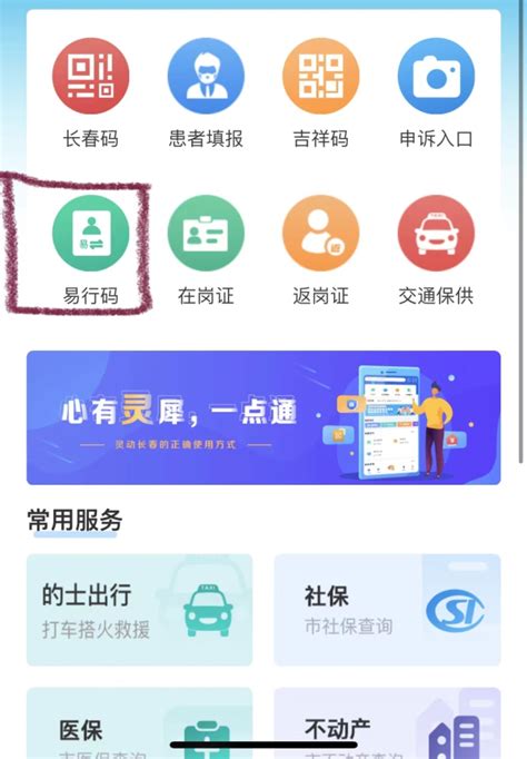 长春特别日记㊹体验申请“易行码”-中国吉林网