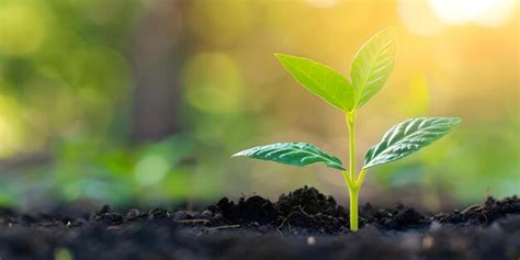 Advantages of investing in sustainable technology with an emphasis on ...