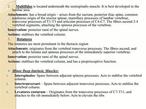 Surgery & anatomy of vertebral column and spinal nerves | PPTX