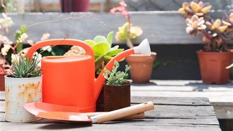 Ways To Grow Your Garden Without Seeds: Exploring Alternative ...