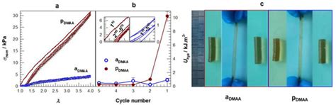 Equimolar Polyampholyte Hydrogel Synthesis Strategies with Adaptable ...