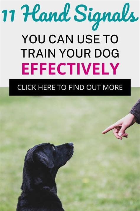 Image result for Common Hand Signals for Dogs Sheet