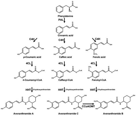 Synergistic Effect of Methyl Jasmonate and Abscisic Acid Co-Treatment ...