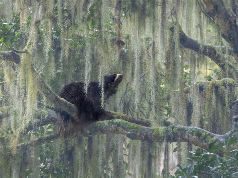 He Looks to the Heavens | Nature inFocus