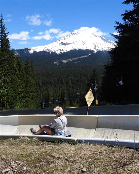 Image result for Alpine Slide