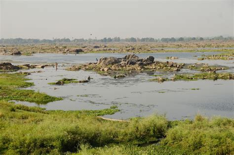 Interview: Odisha and Chhattisgarh Treating Mahanadi Like a Commodity ...