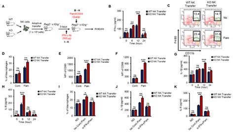 TXNIP Regulates Natural Killer Cell-Mediated Innate Immunity by ...