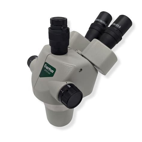 Image result for Compound vs Stereo Microscope