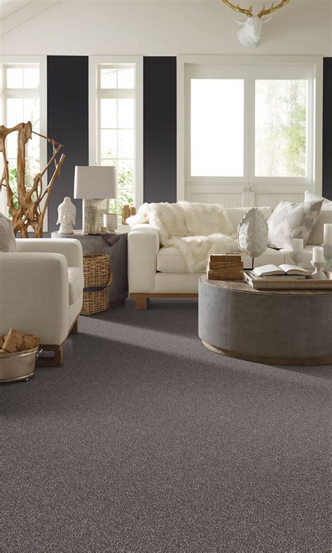 The Soft Side of Style – Why Carpet Still Belongs in Modern Colorado ...