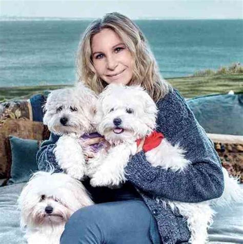 Cloning Examples 的图像结果