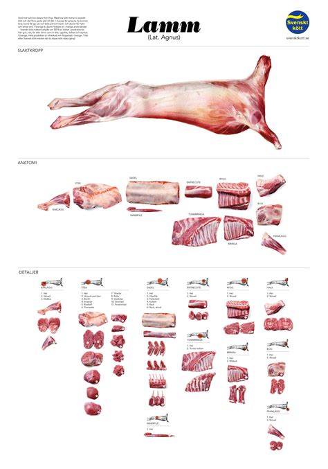 Lamb Meat Cuts Chart - Minimalist Chart Design