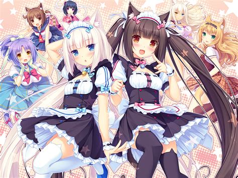 Nekopara 1 thumbnail