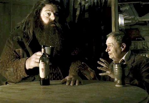 Эльфийское вино | Гарри Поттер вики | Fandom